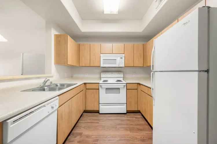 Rent Apartments Near NAU with Essential Features and Hiking Access