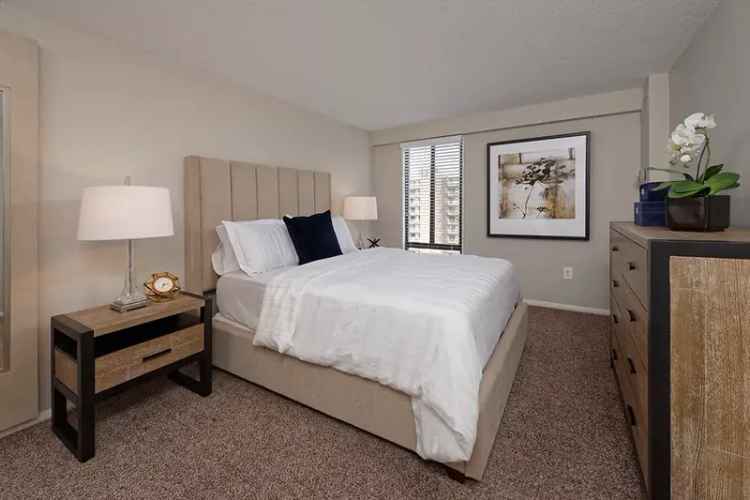 Rent Modern Apartments in Fairfax VA with Exciting Amenities