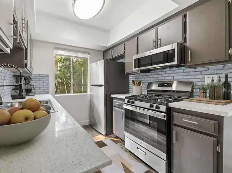 Rent Apartments in Sherman Oaks with Premium Features and Amenities