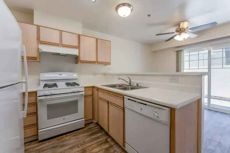 Rent Comfortable Apartments in Chollas Heights with Family Amenities