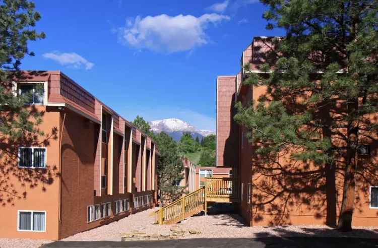 Rent Apartment in Colorado Springs with Spacious Layouts and Amenities