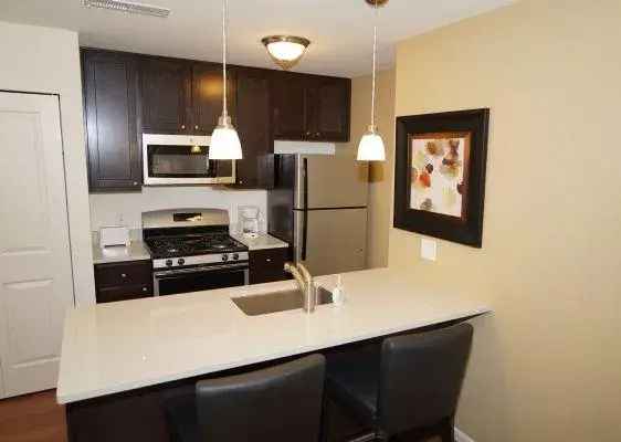 Rent Contemporary Apartments with Elite Finishes in Highland