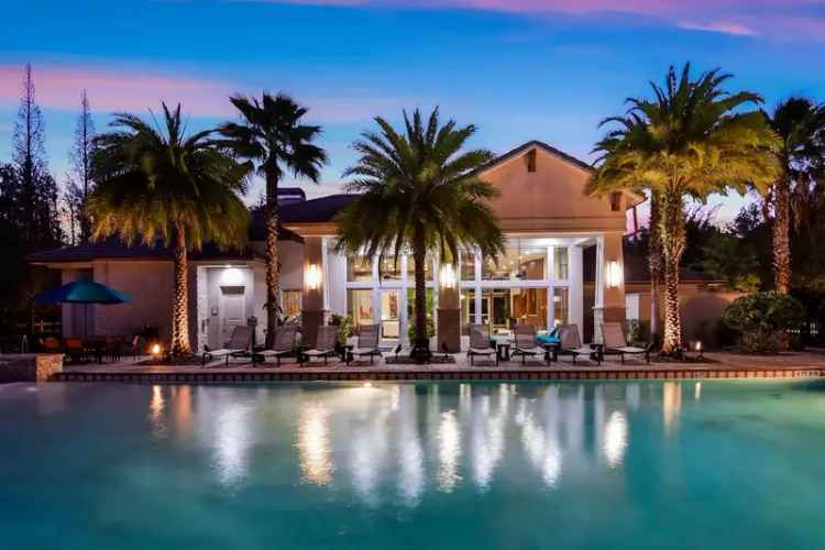 Luxury Rent Apartments in Lutz FL with Premier Resort Inspired Features