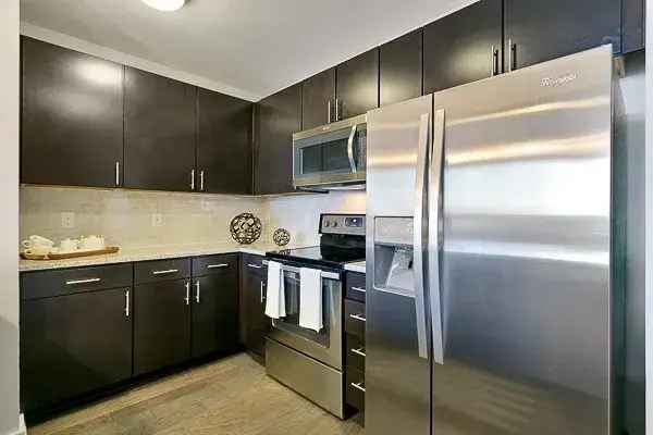 Rent Apartments in Uptown Dallas with Luxury Amenities and Pet-Friendly Options