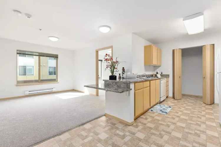 Rent Senior Living Apartments in New Haven with Beautiful Views and More