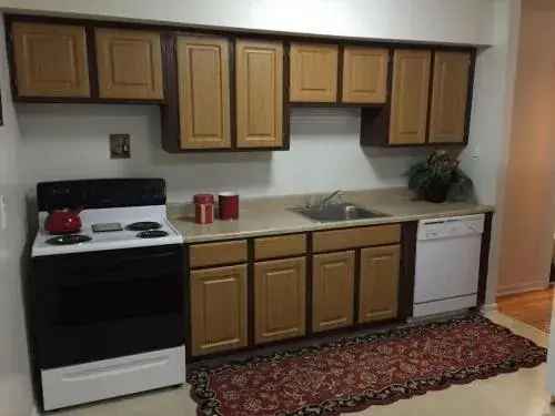 Rent Spacious Apartments with Great Amenities in Arbor Park II