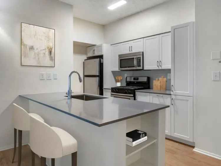 Rent Apartments in Jersey City with Luxury Views and Amenities