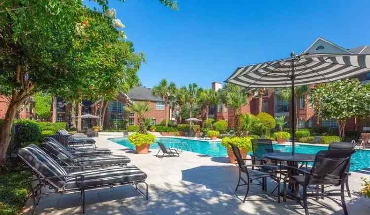 Rent Luxurious Apartments in First Colony Community with Resort Style Pool