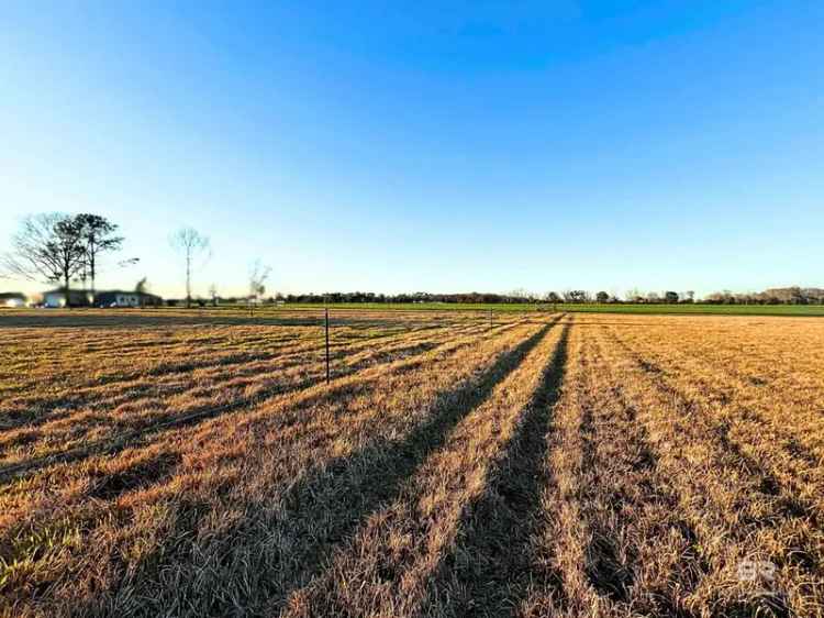 Buy Land in Baldwin County 5 Acre Parcel Ready for Your Vision