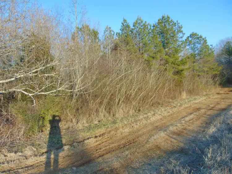 Buy Land in Muscle Shoals with 10 Acres and Deeded Access