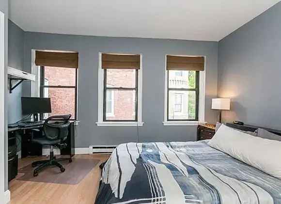 Furnished Apartment Rent in Dorchester with Roof Deck and City Views