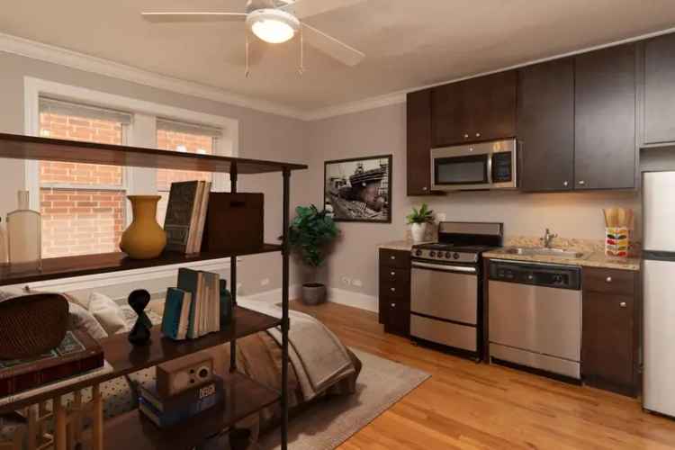 Rent Apartment in Rogers Park Chicago with Vintage and Modern Features