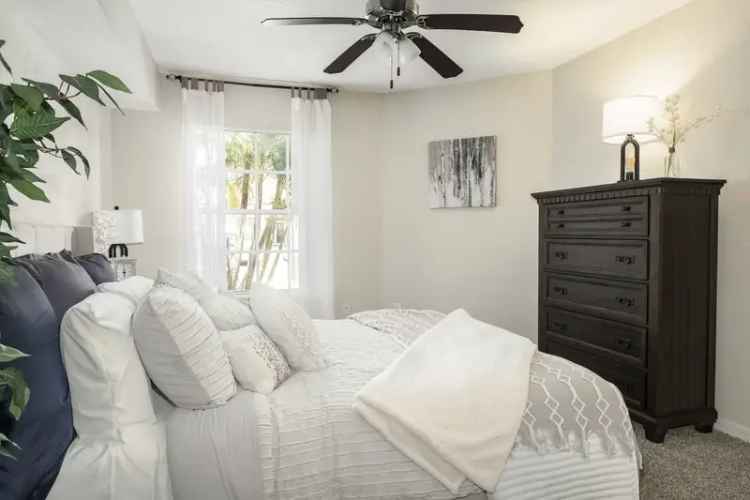 Rent Apartments in Pinellas County with Resort-Style Amenities