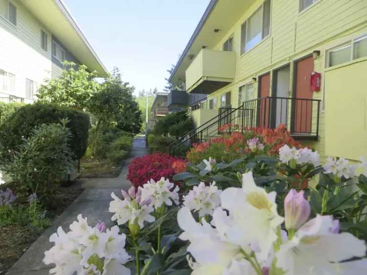 Rent Apartments in Everett with Garden Views and Great Amenities