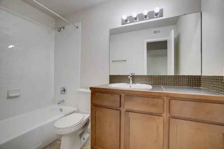 Rent Apartments in Bouldin Creek Featuring Modern Amenities