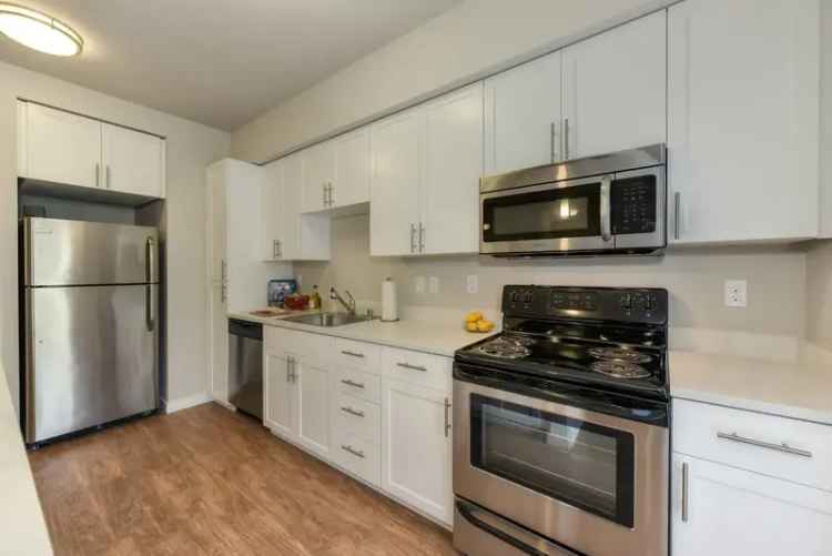 Rent Apartments in Bellevue with Renovated Interiors and Amenities