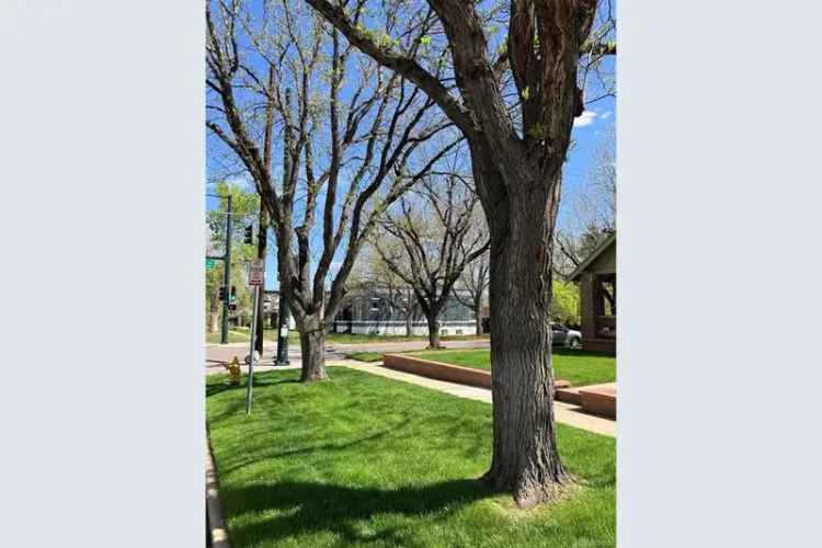 House For Sale in Denver, Colorado