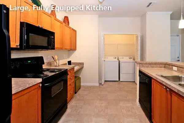 Luxury Apartments for Rent in Tampa with First-Class Amenities