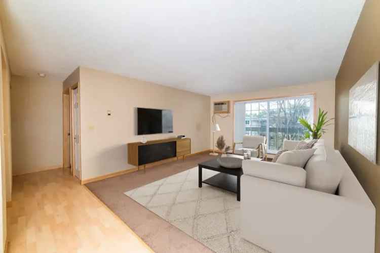 Rent Apartment in St Paul with Spectacular Design and Nearby Parks