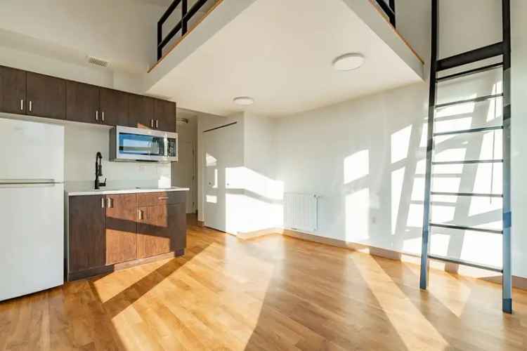 Rent Cozy Apartments with Rooftop Deck in Portage Bay