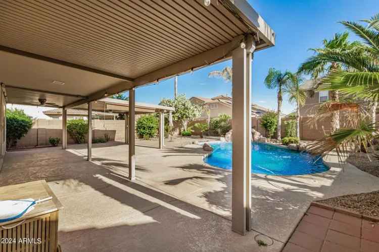 Buy House with Pool and Backyard Oasis Near Spring Training Field