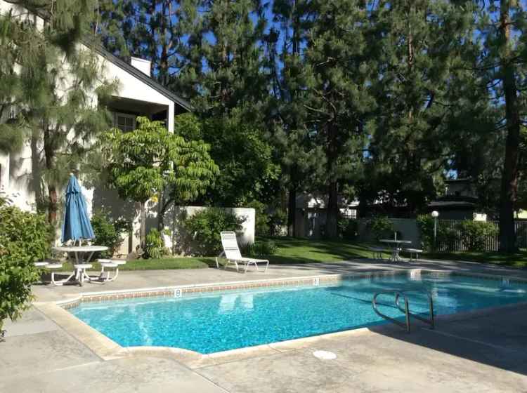 Rent Spacious Apartments in Quiet Cove with Amazing Amenities