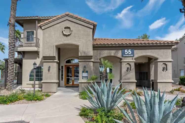 Rent Cozy Apartments in Chandler with Pools and Fitness Center