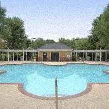 Rent Apartments in Hickory NC with Modern Amenities and Pet Friendly Options