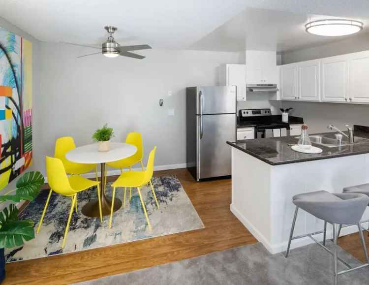 Rent Apartment 555 Modern Living with Resort Style Amenities