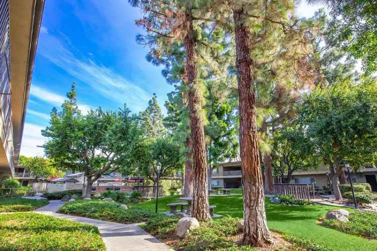 Rent Apartments in Fullerton with Spacious Layouts and Community Amenities