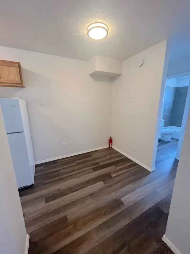 1 Bedroom Apartment for Rent Near Downtown and Nobhill