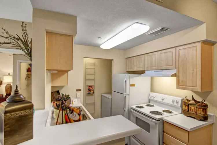 Rent Pet-Friendly Apartments in Tucson with Modern Amenities and Views