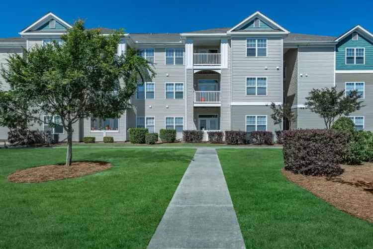 Rent Apartments in Wilmington with High-End Finishes and Gourmet Kitchens