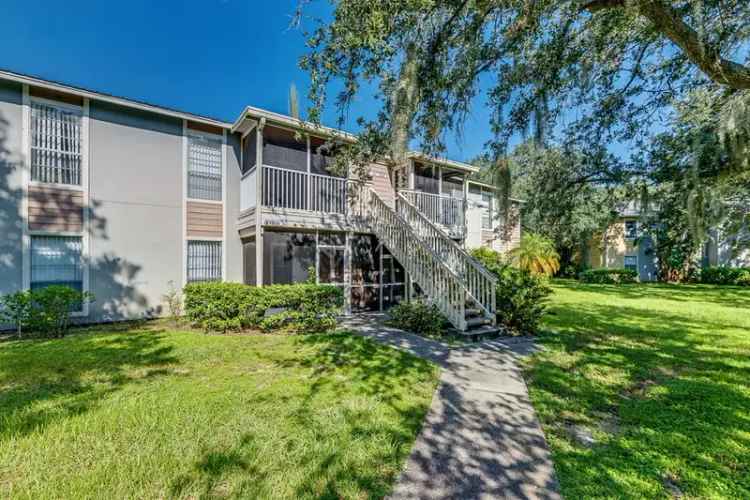 Rent Apartments in Oldsmar with Pools and Fitness Center