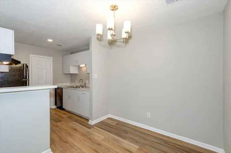 Rent Apartment in Augusta with Pet Friendly Features and Modern Amenities