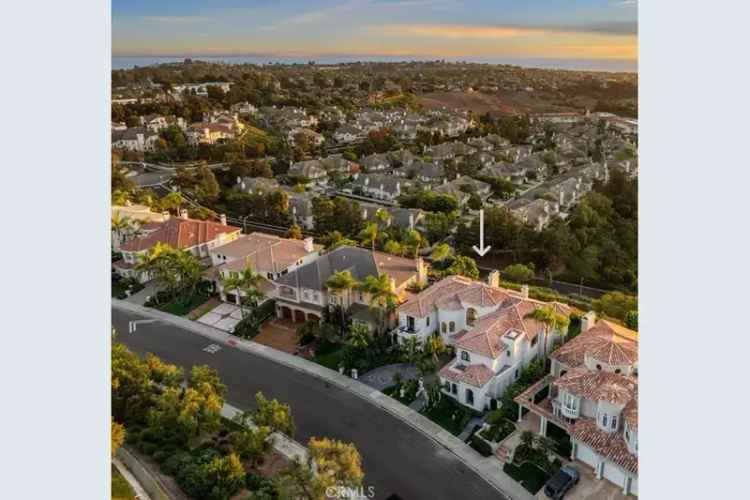 Buy Custom Estate in Laguna Niguel with Ocean Views and Luxury Features