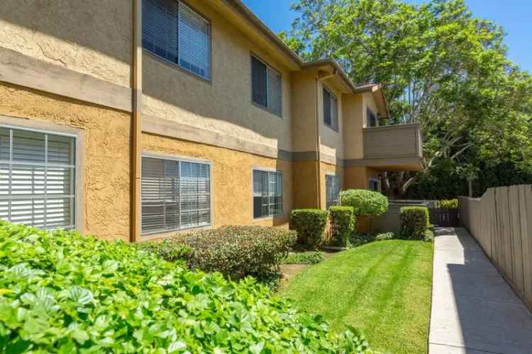 Rent Cozy Apartments in Chula Vista with Modern Amenities