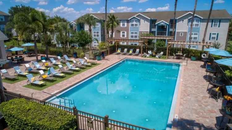 Rent Apartments in Clermont with Modern Comfort and Great Amenities