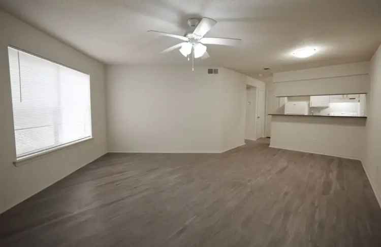 Rent Spacious Apartments with Modern Features in Mandeville