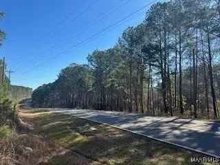 Buy Land in Serene 42 Acres with Hunting Potential and Homesite