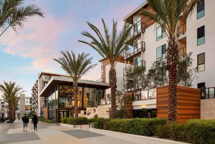 Rent Apartments in Marina del Rey with Premium Amenities and Scenic Views