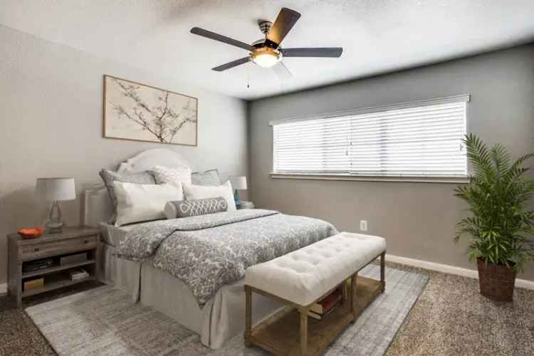 Rent Apartments in Fort Worth with Spacious Layouts and Pet-Friendly Features