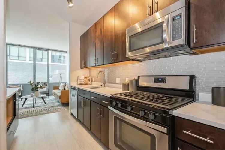 Luxury Apartments for Rent in Chicago with Rooftop Terrace and Gym