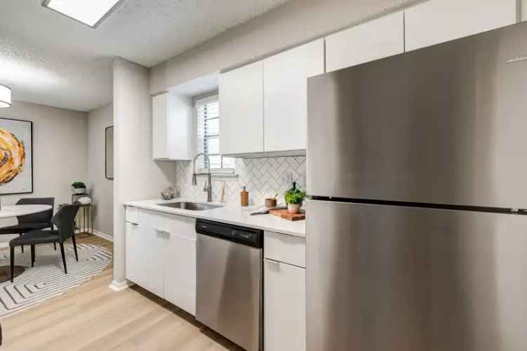 Rent Apartments in Plano TX with Stunning Amenities and Renovated Interiors