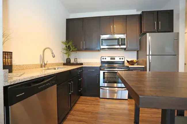 Rent Apartments in Artisan on MacDill with Modern Features