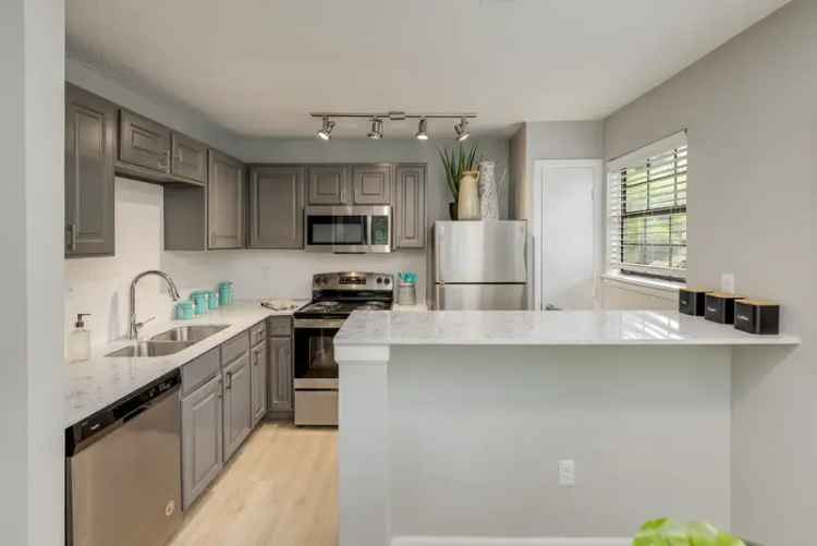 Rent Elegant Apartments in Raleigh with Upscale Amenities