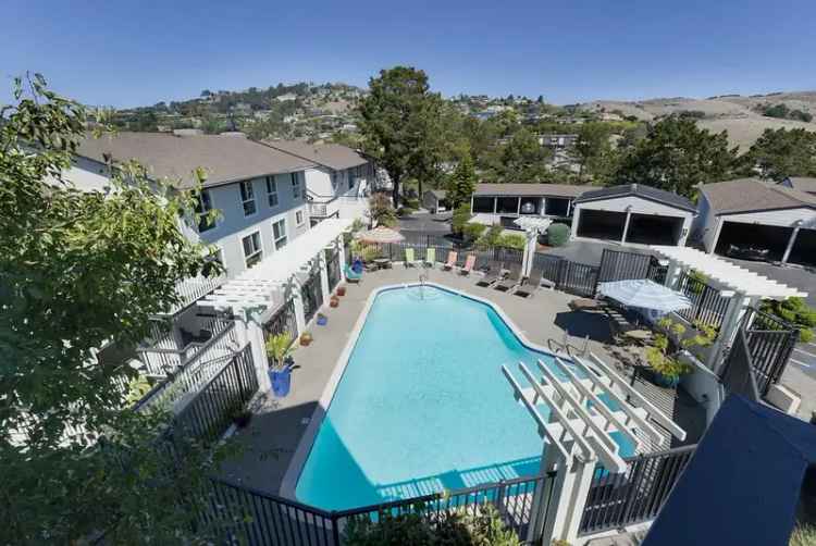 Rent Apartments in Tiburon with Designer Interiors and Scenic Views