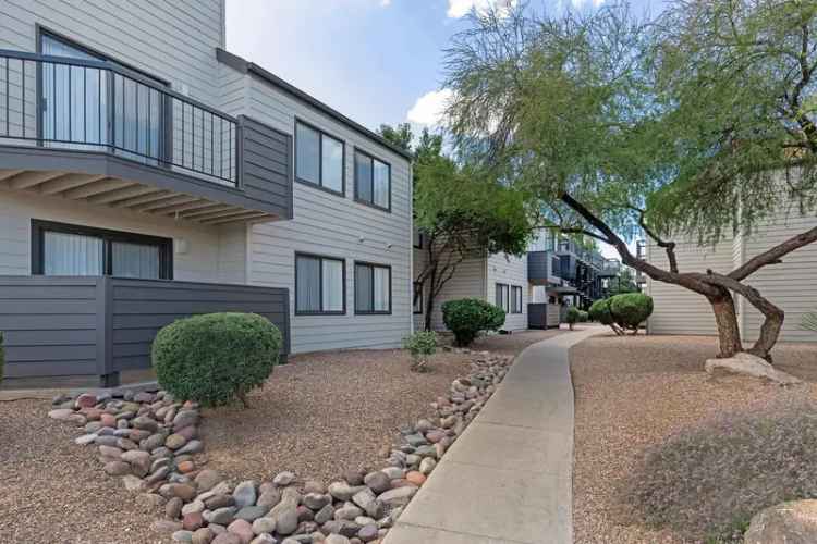 Rent Apartments in Tucson with Modern Features and Great Amenities