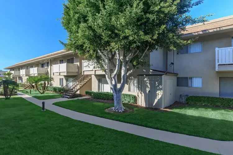 Rent Apartments in Costa Mesa with Modern Features and Amenities