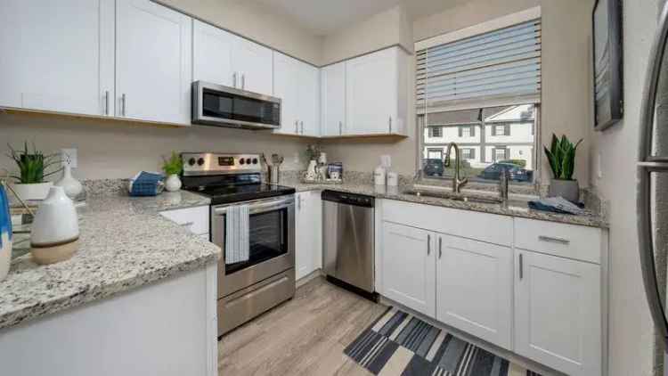 Rent Apartments in Jacksonville with Modern Amenities and Riverfront Views